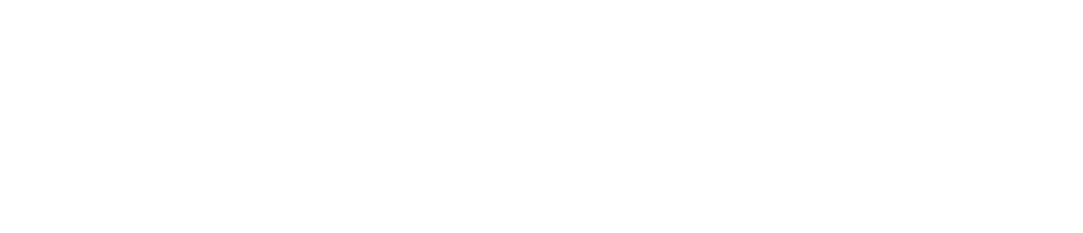 Stylophonix Logo